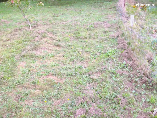 Terrain a bâtir sur la commune de Deville 