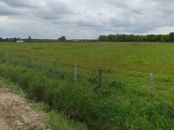 A VENDRE TERRAIN AGRICOLE - 45370 JOUY LE POTIER 