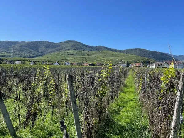 Terrain 252 m² 