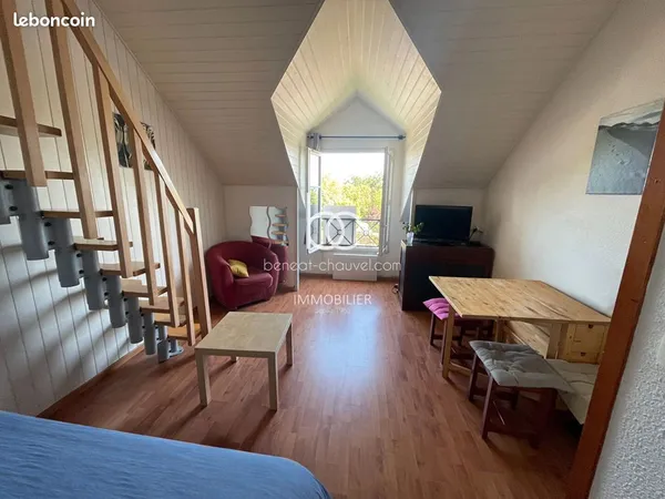 Duplex 2 pièces 24 m² 