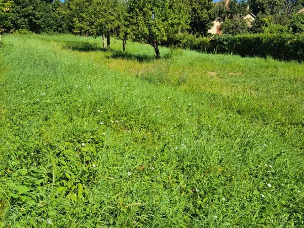 Terrain 1240 m² 