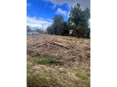 Ravine Chaude Lamentin Terrain plat 1 000 m² 110 000 € 