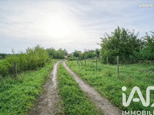 Terrain 2900 m² Cornebarrieu 