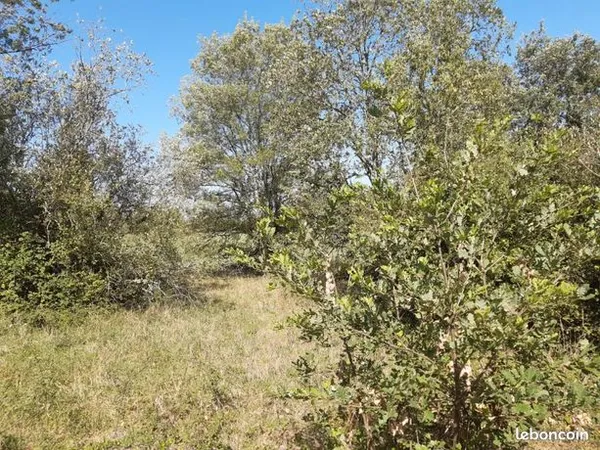 Terrain 750 m² 