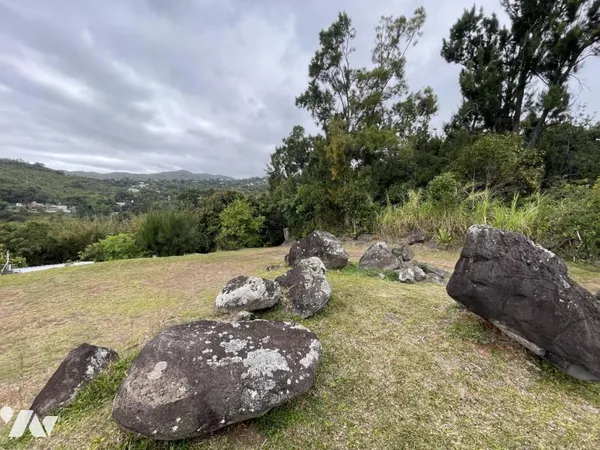 Terrain 2645 m² 