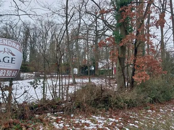 Terrain 700 m² RAIZEUX 