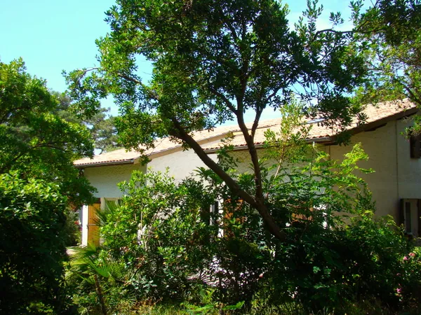 Vends maison 