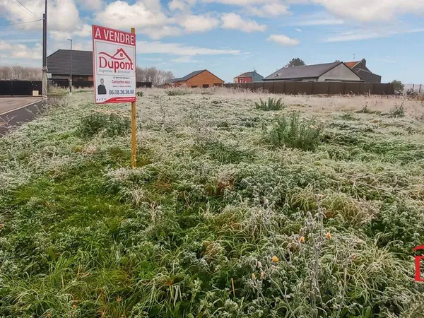 Terrain 560 m² 