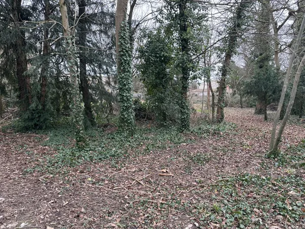 Terrain à bâtir de 328 m² à CHAMPIGNY-SUR-MARNE (94) 