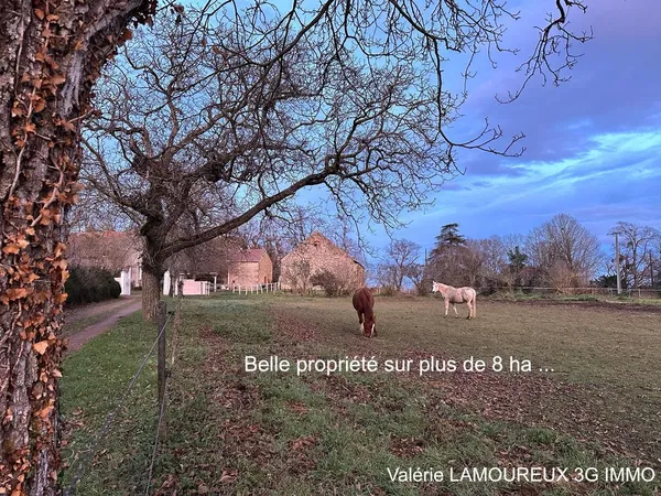 Propriété équestre 6 pièces 