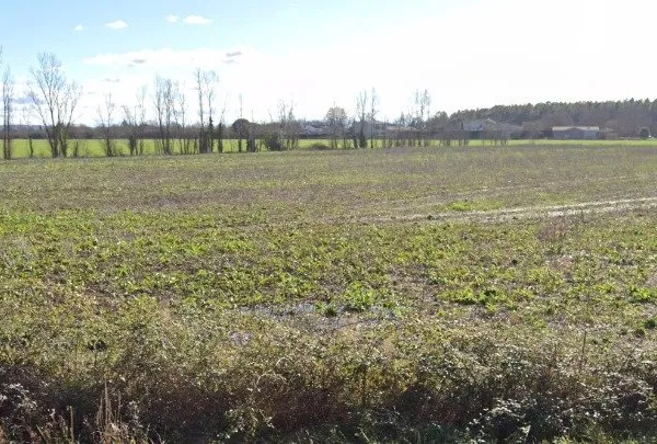 Terrain 3700 m² 