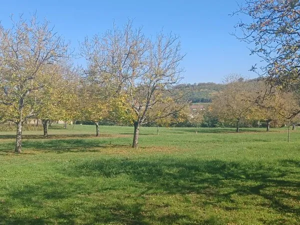 Terrain 640 m² Saint Verand 
