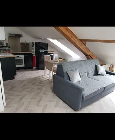 Superbe appartement mansardé 350e 