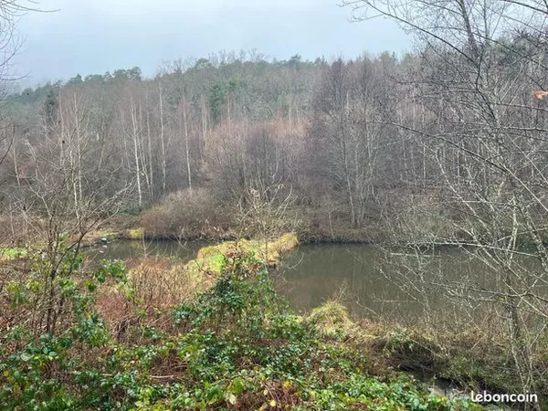 Terrain 24071 m² 