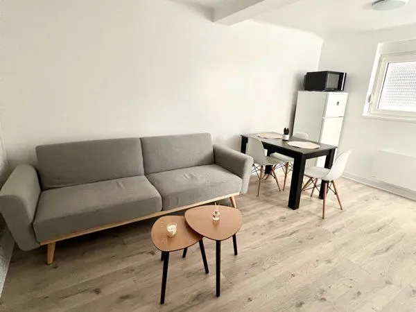 Appartement T2 meublé renové à neuf 