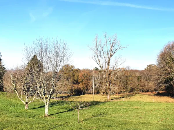 Terrain 1777 m² 