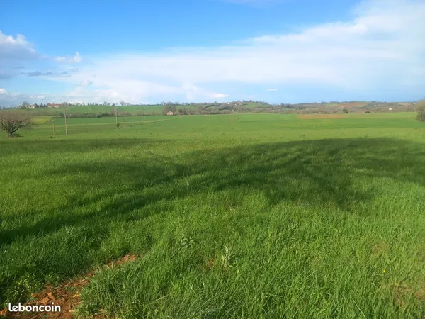 Terrain 2558 m² Parisot 