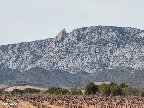 Terrain de 8 800 m² avec vue sur Quéribus - Maury 
