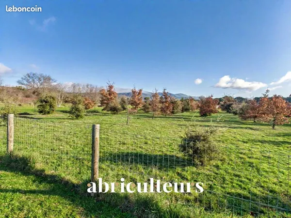 Villa 5 pièces 170 m² 