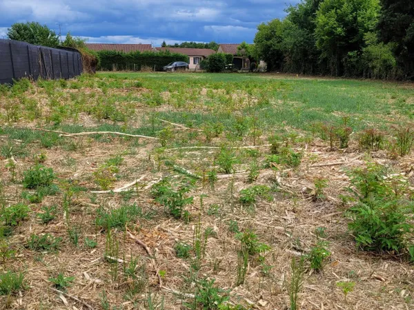 Terrain à bâtir de 850 m² à LEZOUX (63) 