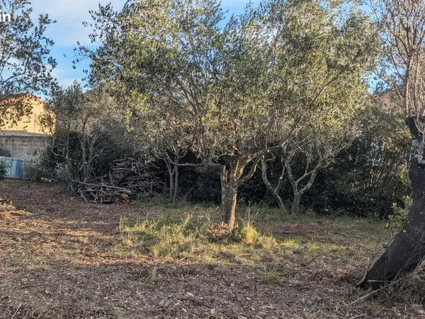 Vente terrain Sérignan-du-Comtat 