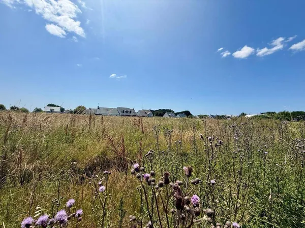 Terrain 355 m² 