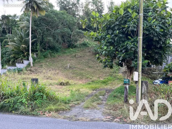 Terrain 2479 m² LES ABYMES 