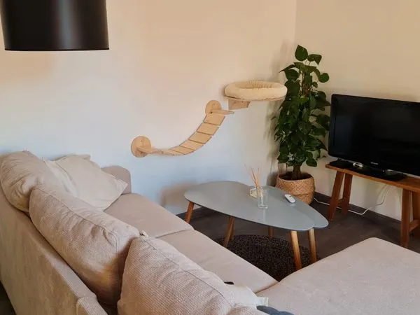 Location T3 Meublé 