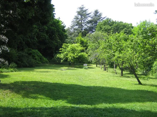 Beau terrain constructible grand et arboré. RARE 