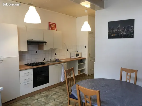 Grand T2 meublé 54m2 