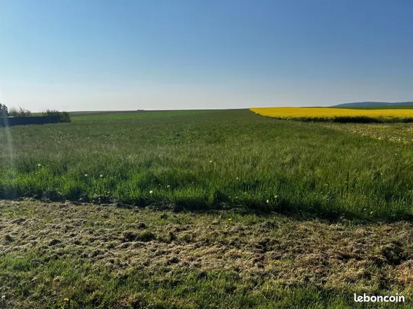 Terrain 1 621 m² Laines Aux Bois 