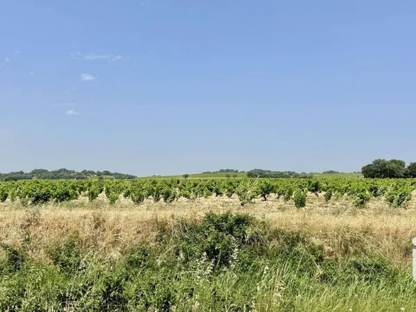 Propriété 117 m² 
