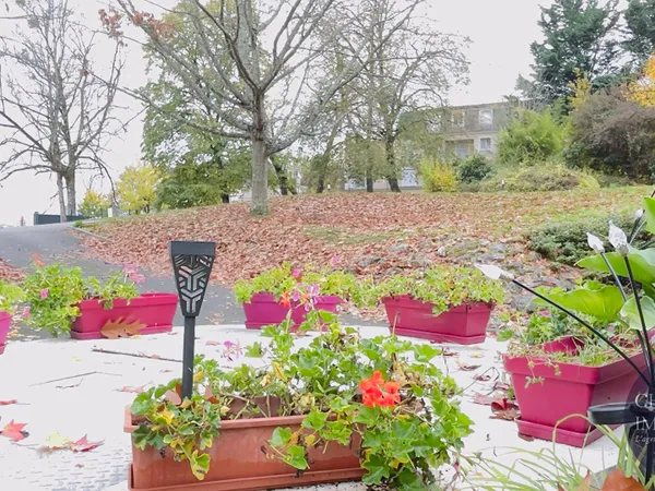 Appartement T2 loué - 53m2 - Blois - Idéal investisseur ! 