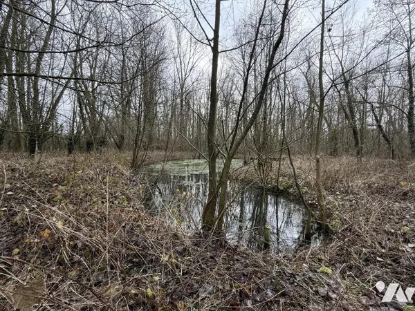 Terrain 2110 m² 