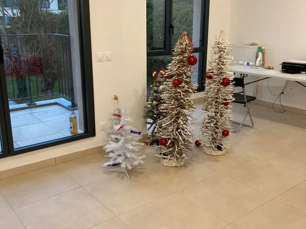 Appartement T3 - disponible janvier 2026 