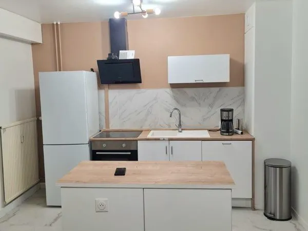 Appartement renové 52 m2 
