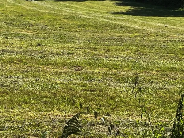 Terrain 303 m² 