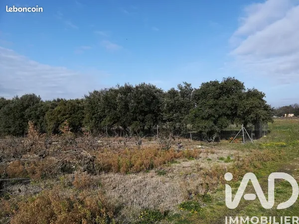 Terrain 1368 m² SAINTE CECILE LES VIGNES 