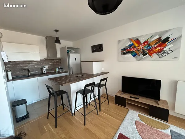 Appartement 40,5 m2 état neuf Montrouge 