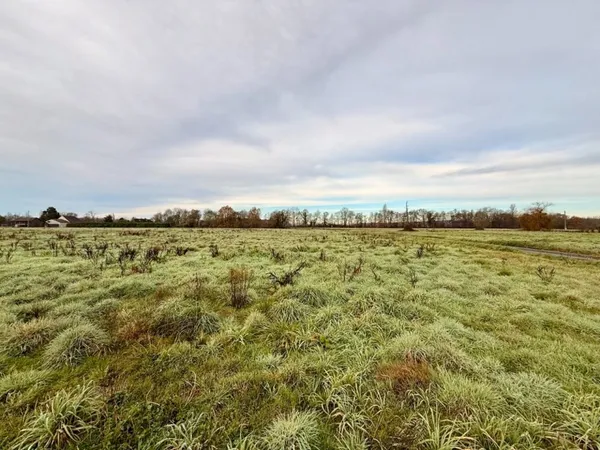 Terrain 1250 m² 