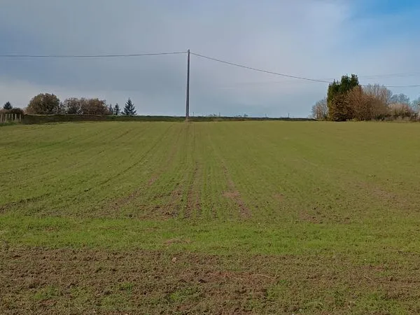 Terrain constructible 