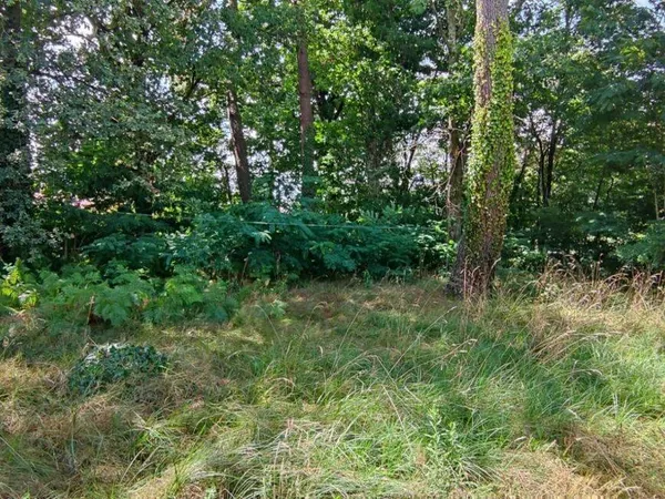Terrain 3621 m² 