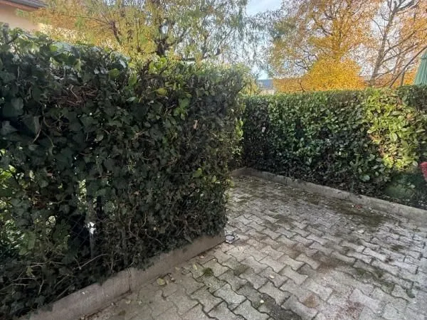 Studio 1 pièce 28 m² 