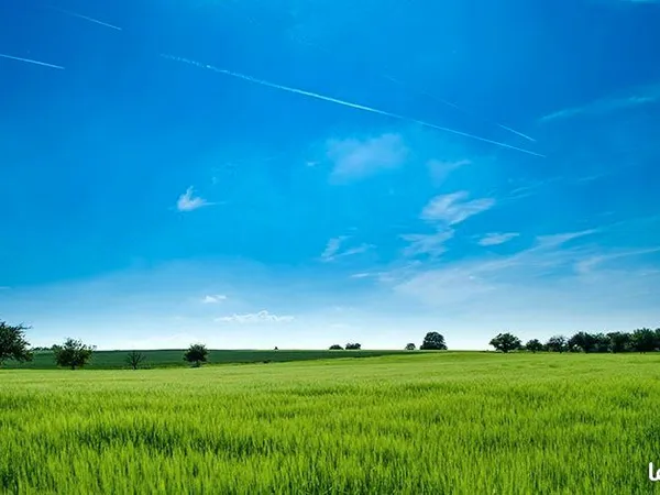 Terrain 585 m² Chambourcy 