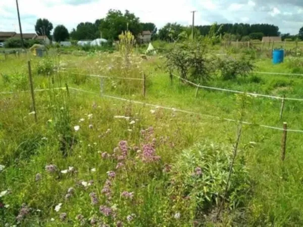Boutique Vente Saint-Front-de-Pradoux   20000€