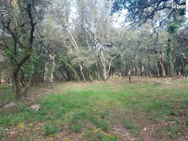 Terrain 950 m² Sainte Anastasie Sur Issole 