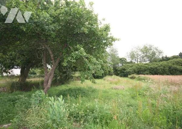 Terrain 1125 m² 