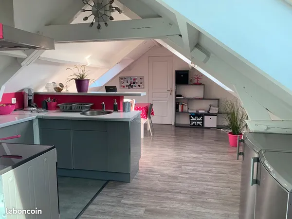 Adorable T3 meublé +70m2 pour couple ou étudiants 