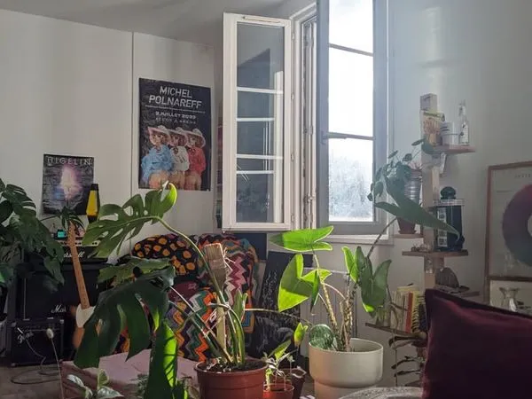 🌿 sous-location à bordeaux - janvier → mi-juin 2026 