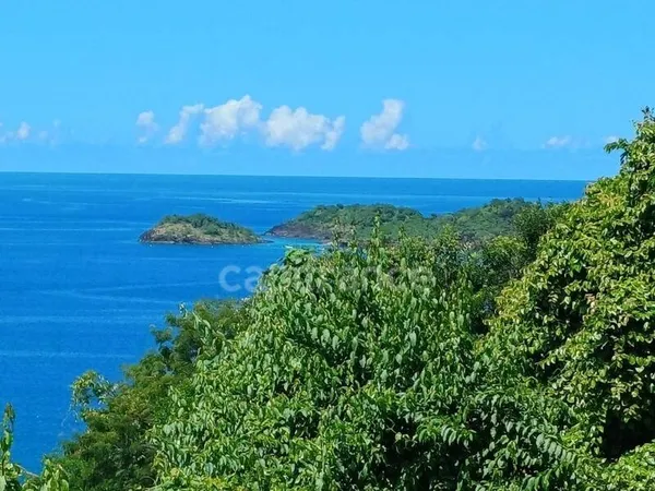 Propriété 